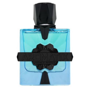 French Avenue Aromatix Magnetiq 100ml EDP